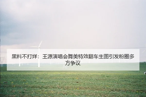 黑料不打烊：王源演唱会舞美特效翻车生图引发粉圈多方争议